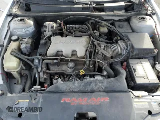 2003 Pontiac Grand Am GT with VIN 1G2NW52E13M707541, listed as a Copart auction lot 41906455 with 218,878 mi miles and Salvage Title. Bid and sale history available at carsss.com. Image 11.