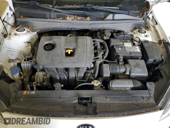 2019 Kia Forte LXS with VIN 3KPF24ADXKE064201, listed as a Copart auction lot 51462005 with 68,534 mi miles and Salvage title. Bid and sale history available at DreamBid. Image 11.