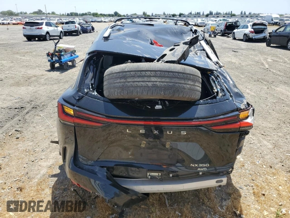 2024 Lexus NX 350 Premium with VIN 2T2GGCEZ2RC037973, listed as a Copart auction lot 57076595 with 33,000 mi miles and Salvage title. Bid and sale history available at DreamBid. Image 6.
