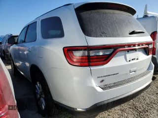 2024 Dodge Durango SXT with VIN 1C4RDJAG5RC115010, listed as a Copart auction lot 76638264 with 8,661 mi miles and Salvage title. Bid and sale history available at DreamBid. Image 2.