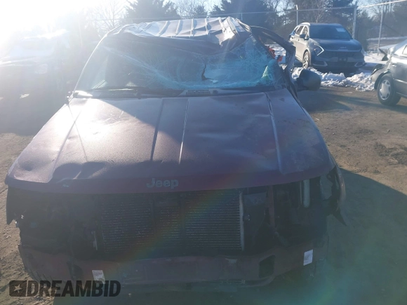 2000 Jeep Grand Cherokee Laredo with VIN 1J4GW48N3YC231743, listed as a IAAI auction lot 41316680 with Not provided miles and . Bid and sale history available at DreamBid. Image 12.