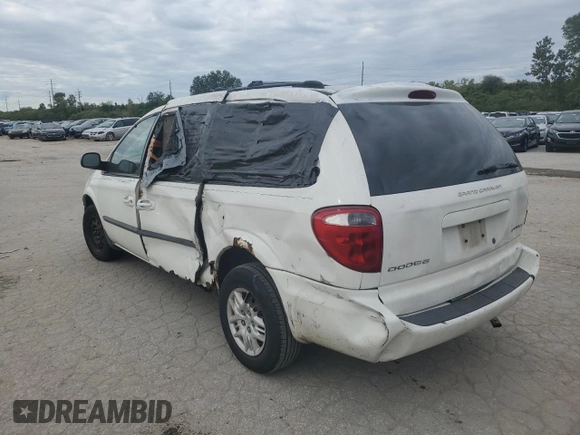 2003 Dodge Caravan Sport with VIN 2D4GP44RX3R380035, listed as a Copart auction lot 73390974 with 0 mi miles and Salvage Title. Bid and sale history available at carsss.com. Image 2.