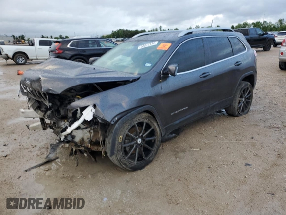 2019 Jeep Cherokee Limited with VIN 1C4PJLDB4KD154098, listed as a Copart auction lot 53872195 with 114,981 mi miles and Salvage title. Bid and sale history available at DreamBid. Image 1.