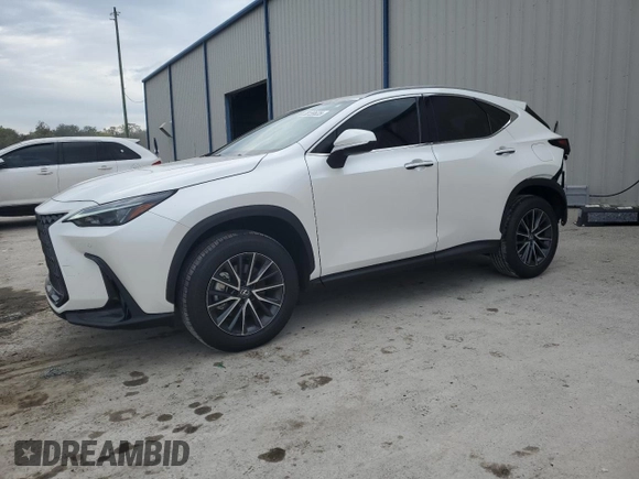 2024 Lexus NX 250 Premium with VIN 2T2GDCAZ3RC006908, listed as a Copart auction lot 88159635 with 20,109 mi miles and Salvage title. Bid and sale history available at DreamBid. Image 1.