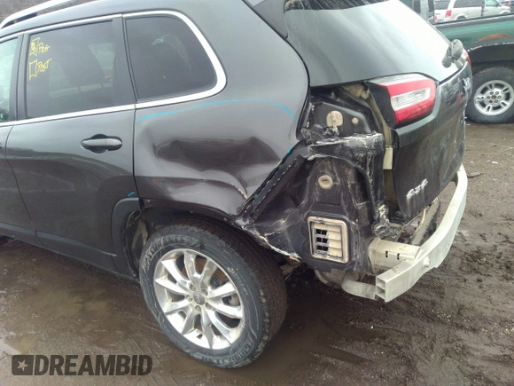 2016 Jeep Cherokee Limited with VIN 1C4PJMDSXGW121091, listed as a IAAI auction lot 41733807 with 196,455 mi miles and . Bid and sale history available at DreamBid. Image 18.