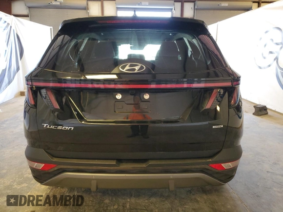 2024 Hyundai Tucson Limited with VIN 5NMJECDEXRH299555, listed as a Copart auction lot 50305005 with 48,861 mi miles and Salvage Title. Bid and sale history available at carsss.com. Image 6.
