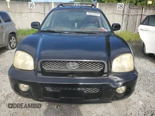 2003 Hyundai Santa Fe GLS with VIN KM8SC13D53U382460, listed as a Copart auction lot 70257874 with 0 mi miles and Salvage Title. Bid and sale history available at carsss.com. Image 5.