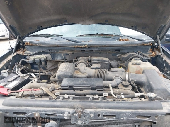 2010 Ford F-150 XL с VIN 1FTFW1EV9AFC49947, выставлен на аукционе IAAI как лот 42655807 с пробегом 255 358 миль миль и . История ставок и продаж доступна на DreamBid. Изображение 10.