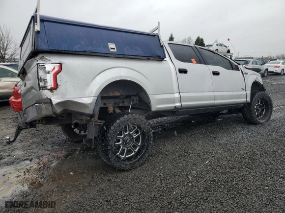 2016 Ford F-150 XLT with VIN 1FTFW1EG9GKE34758, listed as a Copart auction lot 49686685 with 0 mi miles and Salvage Title. Bid and sale history available at carsss.com. Image 3.
