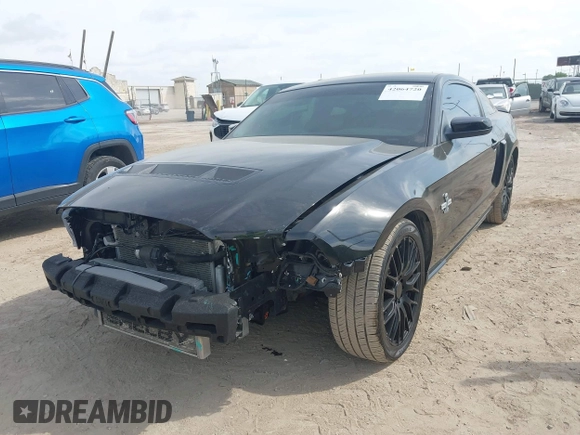 2010 Ford Mustang GT500 with VIN 1ZVBP8JS9A5130203, listed as a IAAI auction lot 42064720 with 32,461 mi miles. Bid and sale history available at carsss.com. Image 6.