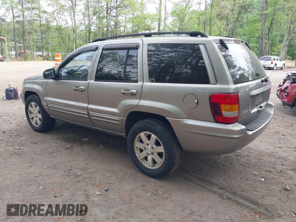 1999 Jeep Grand Cherokee Limited with VIN 1J4GW68N5XC684157, listed as a IAAI auction lot 42104283 with 164,506 mi miles. Bid and sale history available at carsss.com. Image 3.