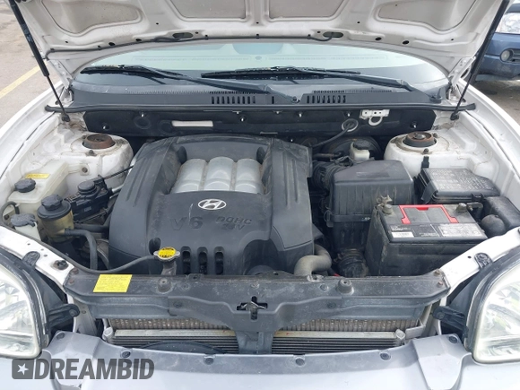 2004 Hyundai Santa Fe GLS with VIN KM8SC13DX4U609921, listed as a IAAI auction lot 41619492 with 113,592 mi miles. Bid and sale history available at carsss.com. Image 10.