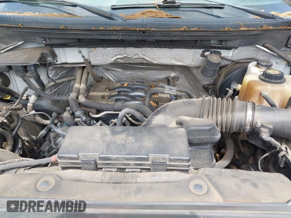 2011 Ford F-150 XL with VIN 1FTFX1CF5BKD77071, listed as a IAAI auction lot 42340871 with Not provided miles and . Bid and sale history available at DreamBid. Image 10.