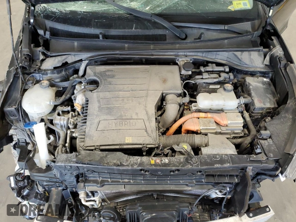 2019 Kia Niro EX with VIN KNDCC3LC1K5281842, listed as a Copart auction lot 48992555 with 48,800 mi miles and Salvage Title. Bid and sale history available at carsss.com. Image 12.