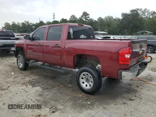 2009 Chevrolet Silverado 1500 LT with VIN 3GCEC23CX9G110626, listed as a Copart auction lot 74358754 with 266,724 mi miles and Salvage Title. Bid and sale history available at carsss.com. Image 2.