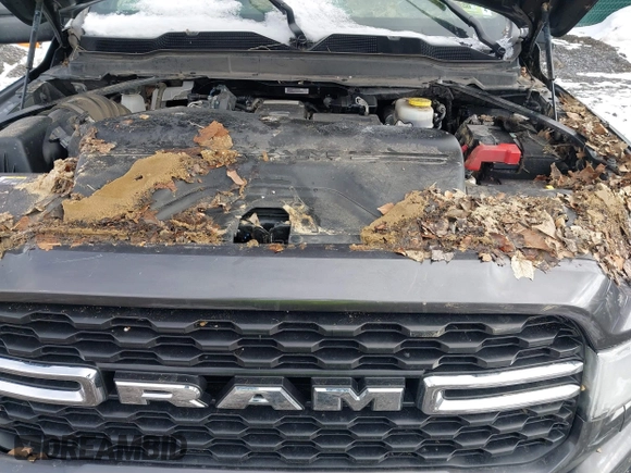2023 Ram 2500 Big Horn with VIN 3C6UR5DL5PG519292, listed as a IAAI auction lot 41595128 with 15,500 mi miles and . Bid and sale history available at DreamBid. Image 10.