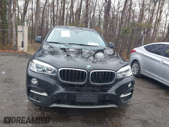 2015 BMW X6 xDrive35i with VIN 5UXKU2C53F0N76799, listed as a IAAI auction lot 41946628 with 173,607 mi miles. Bid and sale history available at carsss.com. Image 13.