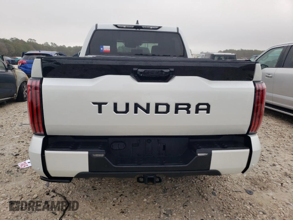 2022 Toyota Tundra 2WD Platinum with VIN 5TFNA5AB6NX003726, listed as a Copart auction lot 69110202 with 5,665 mi miles. Bid and sale history available at carsss.com. Image 6.