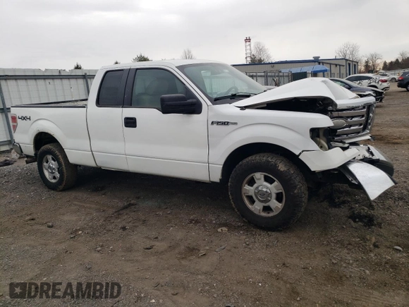 2009 Ford F-150 STX with VIN 1FTRX14889FA73202, listed as a Copart auction lot 50856285 with 184,181 mi miles and Salvage Title. Bid and sale history available at carsss.com. Image 4.