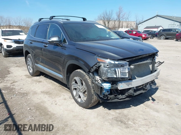 2023 Hyundai Santa Fe SEL with VIN 5NMS3DAJXPH568006, listed as a IAAI auction lot 41897908 with 31,375 mi miles and . Bid and sale history available at DreamBid. Image 1.