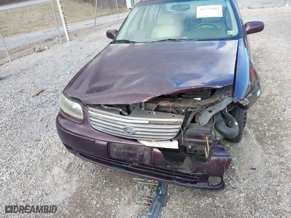 1999 Chevrolet Malibu LS with VIN 1G1NE52J7X6253780, listed as a IAAI auction lot 41723403 with 315,918 mi miles. Bid and sale history available at carsss.com. Image 6.