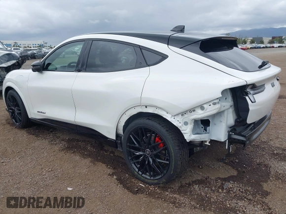 2022 Ford Mustang Mach-E GT with VIN 3FMTK4SE8NMA08497, listed as a IAAI auction lot 42050978 with 42,577 mi miles and . Bid and sale history available at DreamBid. Image 3.
