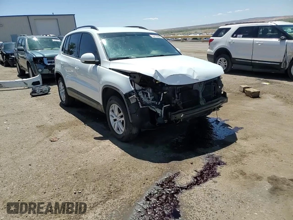 2016 Volkswagen Tiguan S z VIN WVGAV7AX6GW501102, wystawiony jako Copart lot #54174845 z przebiegiem 46 616 mil mil oraz Szkoda całkowita • Salvage title. Historia ofert i sprzedaży dostępna na DreamBid. Obrazek 14.