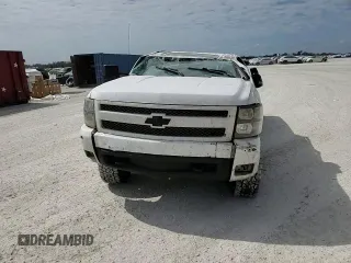 2007 Chevrolet Silverado 1500 1LT with VIN 2GCEC13J071559229, listed as a Copart auction lot 44934385 with 219,543 mi miles and Salvage Title. Bid and sale history available at DreamBid. Image 11.