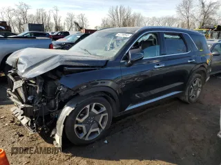 2023 Hyundai Palisade Limited с VIN KM8R5DGE4PU489809, выставлен на аукционе Copart как лот 42796945 с пробегом 57 660 миль миль и Списание • Salvage title. История ставок и продаж доступна на DreamBid. Изображение 1.