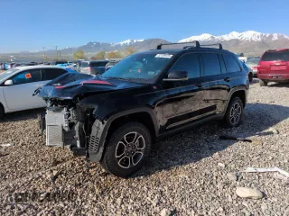 2022 Jeep Grand Cherokee Trailhawk with VIN 1C4RJHCG1N8574207, listed as a Copart auction lot 52789925 with 31,549 mi miles and Salvage title. Bid and sale history available at DreamBid. Image 1.