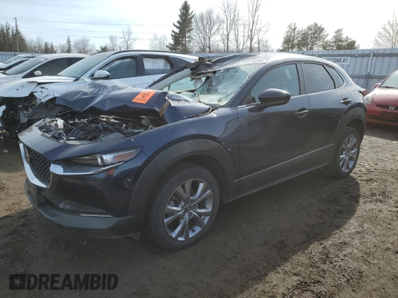 2021 Mazda CX-30 Preferred with VIN 3MVDMACL3MM227105, listed as a Copart auction lot 49101975 with Not Provided miles and Salvage Title. Bid and sale history available at DreamBid. Image 1.