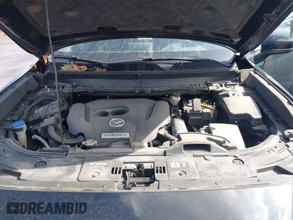 2020 Mazda CX-9 Grand Touring with VIN JM3TCBDY2L0413839, listed as a IAAI auction lot 41720713 with 48,964 mi miles and . Bid and sale history available at DreamBid. Image 10.