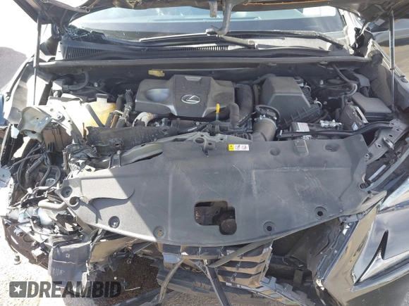2021 Lexus NX 300 с VIN JTJDARBZ6M2184303, выставлен на аукционе IAAI как лот 41691065 с пробегом 57 129 миль миль и . История ставок и продаж доступна на DreamBid. Изображение 10.