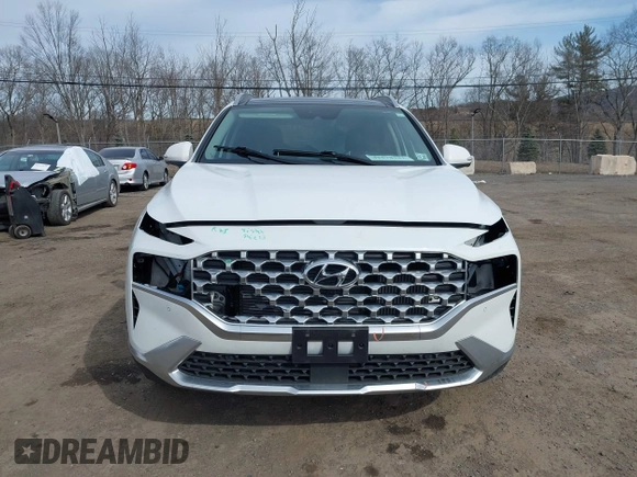 2023 Hyundai Santa Fe Limited with VIN 5NMS4DAL0PH497767, listed as a IAAI auction lot 41578381 with 31,011 mi miles and . Bid and sale history available at DreamBid. Image 13.
