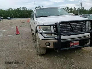 2014 Ford F-150 XL with VIN 1FTFW1EFXEKF15692, listed as a Copart auction lot 61142145 with 215,008 mi miles and Salvage title. Bid and sale history available at DreamBid. Image 13.