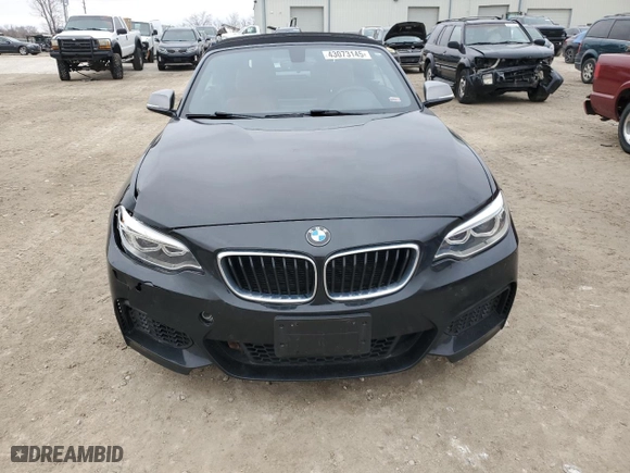 2015 BMW 2 Series M235i with VIN WBA1M1C5XFV393133, listed as a Copart auction lot 43073145 with 96,831 mi miles and Salvage Title. Bid and sale history available at carsss.com. Image 5.