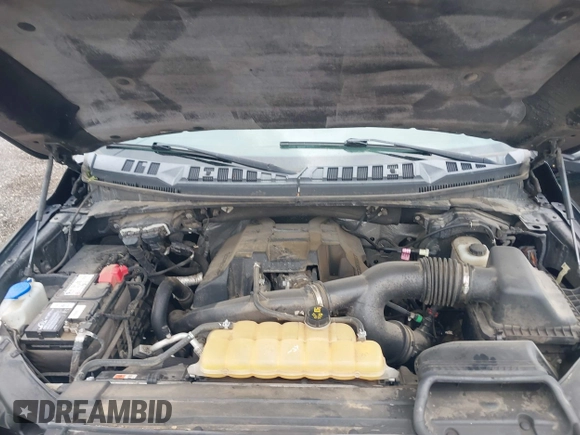 2016 Ford F-150 XLT with VIN 1FTEW1EP2GFA90548, listed as a IAAI auction lot 42322480 with 131,646 mi miles and . Bid and sale history available at DreamBid. Image 10.