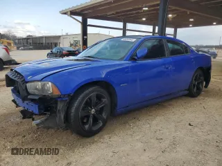 2013 Dodge Charger RT with VIN 2C3CDXCT2DH677668, listed as a Copart auction lot 48690945 with 177,519 mi miles and Salvage Title. Bid and sale history available at carsss.com. Image 1.