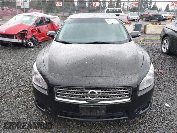 2009 Nissan Maxima SV with VIN 1N4AA51E39C856967, listed as a IAAI auction lot 41919510 with 231,933 mi miles and . Bid and sale history available at DreamBid. Image 12.
