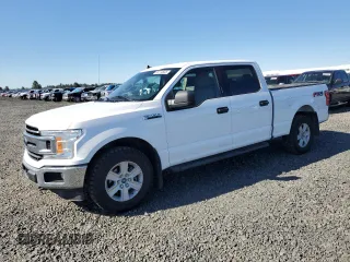 2020 Ford F-150 XL with VIN 1FTFW1E41LKD20849, listed as a Copart auction lot 55774935 with 171,239 mi miles and Clean title. Bid and sale history available at DreamBid. Image 1.