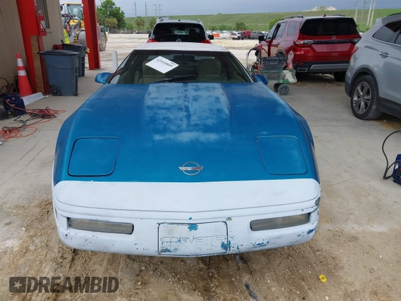 1993 Chevrolet Corvette with VIN 1G1YY33P2P5105165, listed as a IAAI auction lot 42410809 with Not provided miles and . Bid and sale history available at DreamBid. Image 11.