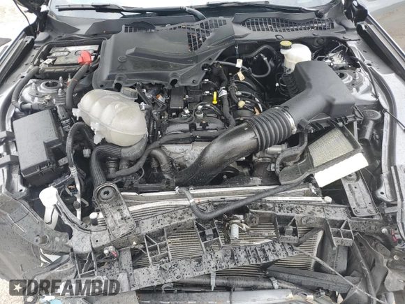 2023 Ford Mustang EcoBoost with VIN 1FA6P8TH5P5110082, listed as a Copart auction lot 53167995 with 40,303 mi miles and Salvage Title. Bid and sale history available at carsss.com. Image 11.