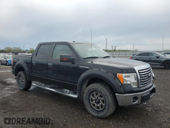 2010 Ford F-150 XL with VIN 1FTFW1EV1AKB33018, listed as a Copart auction lot 54377785 with 160,695 mi miles and Salvage title. Bid and sale history available at DreamBid. Image 4.