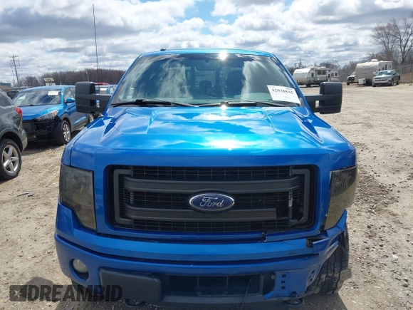 2014 Ford F-150 XL with VIN 1FTFW1ET0EKF39280, listed as a IAAI auction lot 42038842 with 209,864 mi miles and . Bid and sale history available at DreamBid. Image 12.