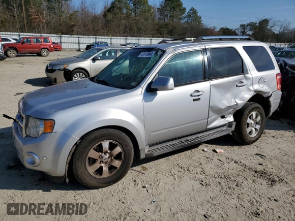 2010 Ford Escape Limited with VIN 1FMCU0E71AKC71285, listed as a Copart auction lot 61344164 with 163,471 mi miles and Salvage title. Bid and sale history available at DreamBid. Image 1.
