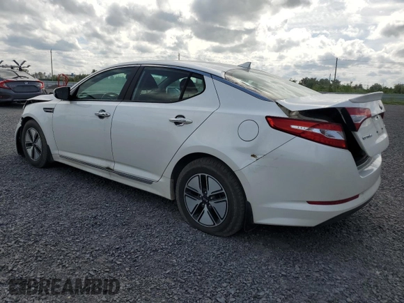 2013 Kia Optima EX with VIN KNAGM4AD2D5054191, listed as a Copart auction lot 59552495 with 183,955 mi miles and Salvage title. Bid and sale history available at DreamBid. Image 2.