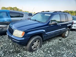2000 Jeep Grand Cherokee Limited with VIN 1J4GW58N6YC106919, listed as a Copart auction lot 52156925 with 272,172 mi miles and Salvage title. Bid and sale history available at DreamBid. Image 1.