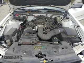 2005 Ford Mustang Deluxe with VIN 1ZVFT80N055206227, listed as a Copart auction lot 54861085 with 235,462 mi miles and Salvage Title. Bid and sale history available at carsss.com. Image 11.
