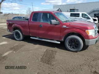 2013 Ford F-150 XL with VIN 1FTFX1EF0DFB86523, listed as a Copart auction lot 53498135 with 460,305 mi miles and Salvage title. Bid and sale history available at DreamBid. Image 4.