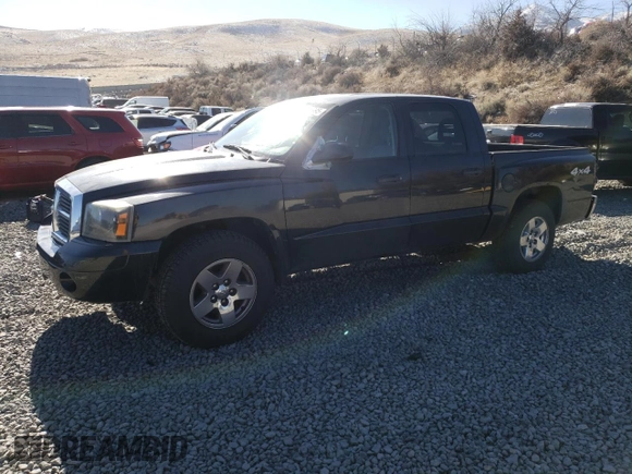 2006 Dodge Dakota SLT with VIN 1D7HW48K76S632981, listed as a Copart auction lot 43036995 with 211,057 mi miles and Clean Title. Bid and sale history available at carsss.com. Image 1.